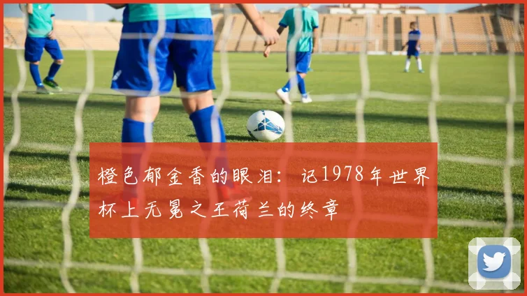 橙色郁金香的眼泪：记1978年世界杯上无冕之王荷兰的终章